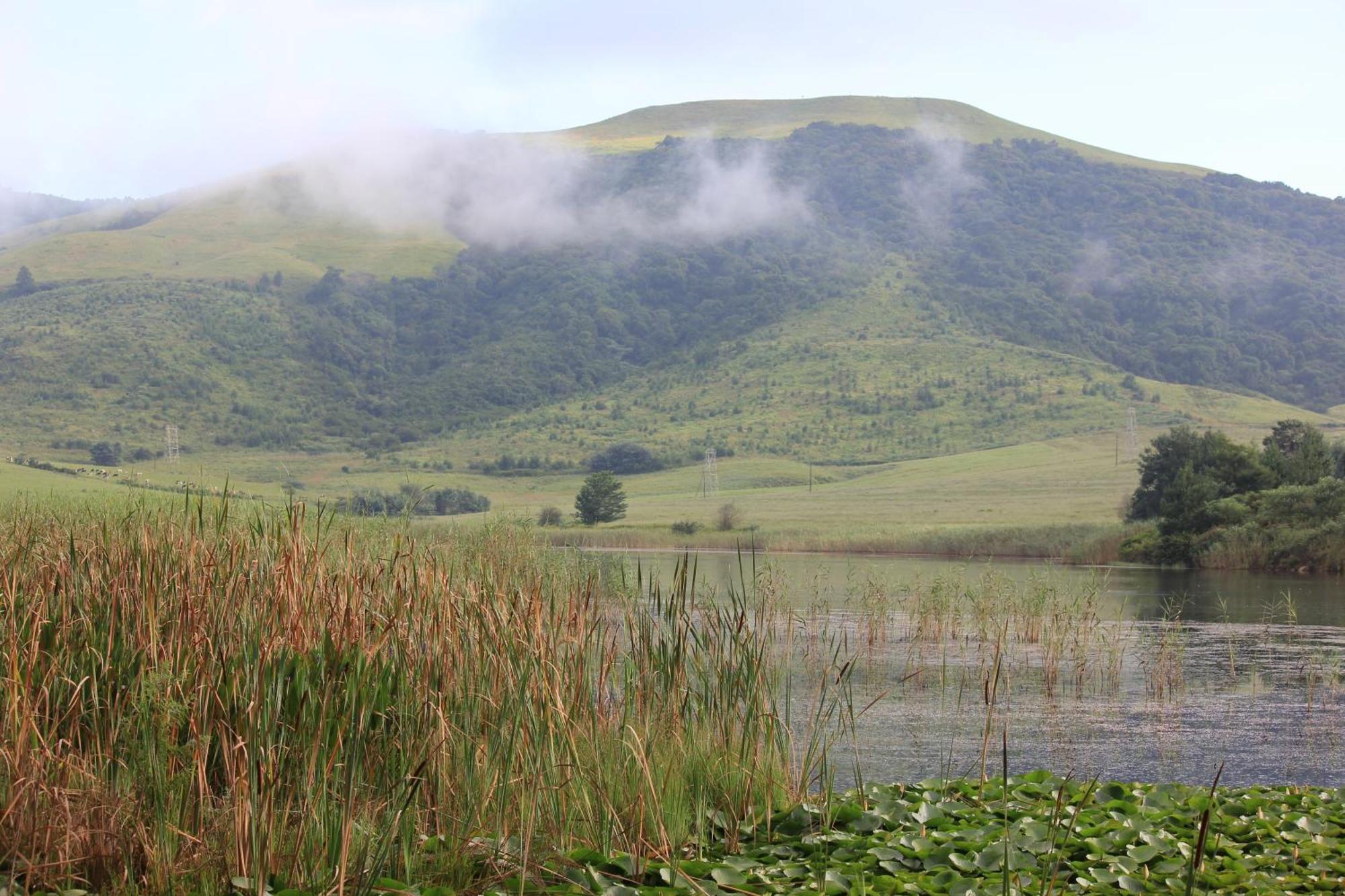 Beacon Vlei Guest Farm Balgowan Exterior foto